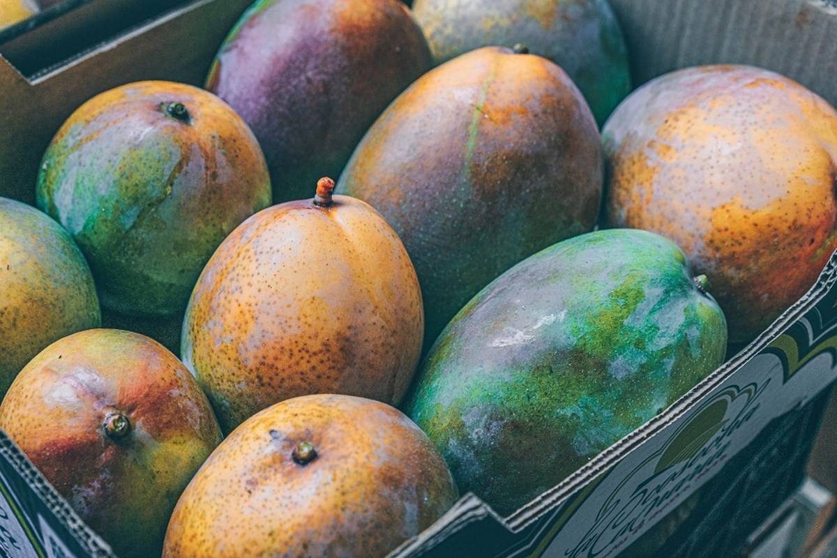 Mangoes from Andhra Pradesh