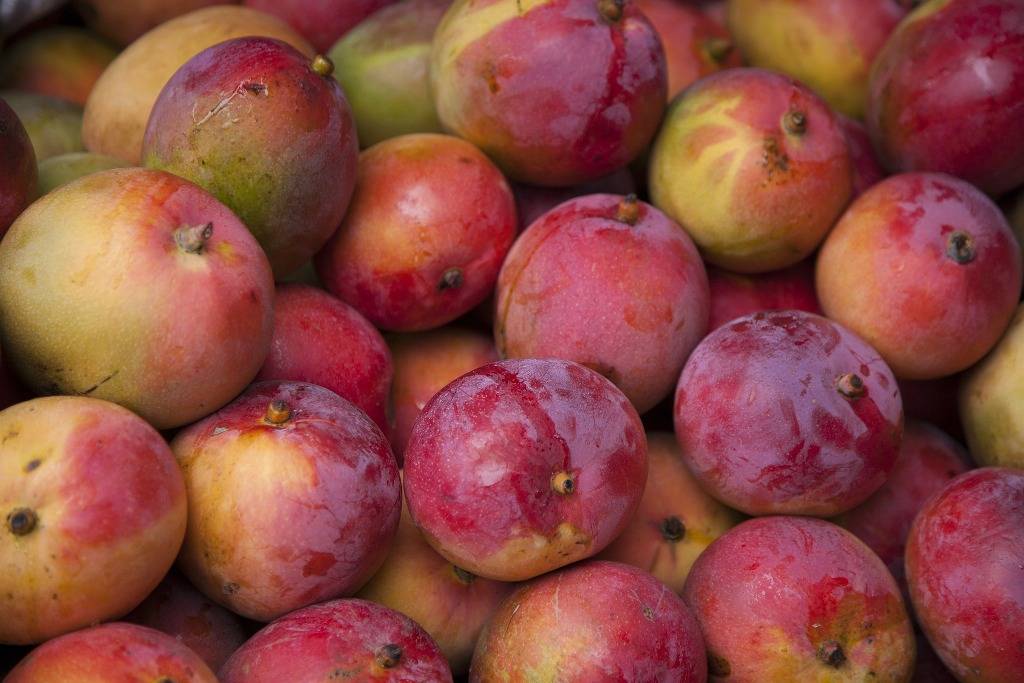 Mangoes with a red blush