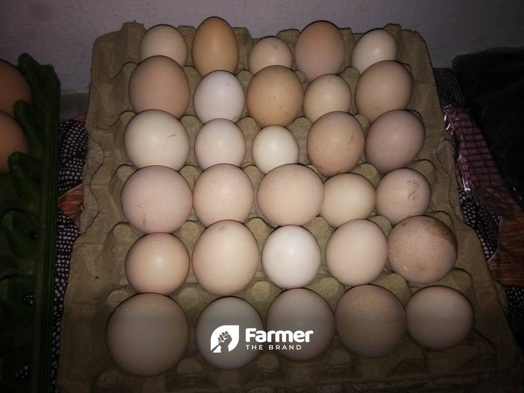 Fresh Eggs