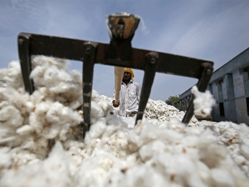 Cotton Markets