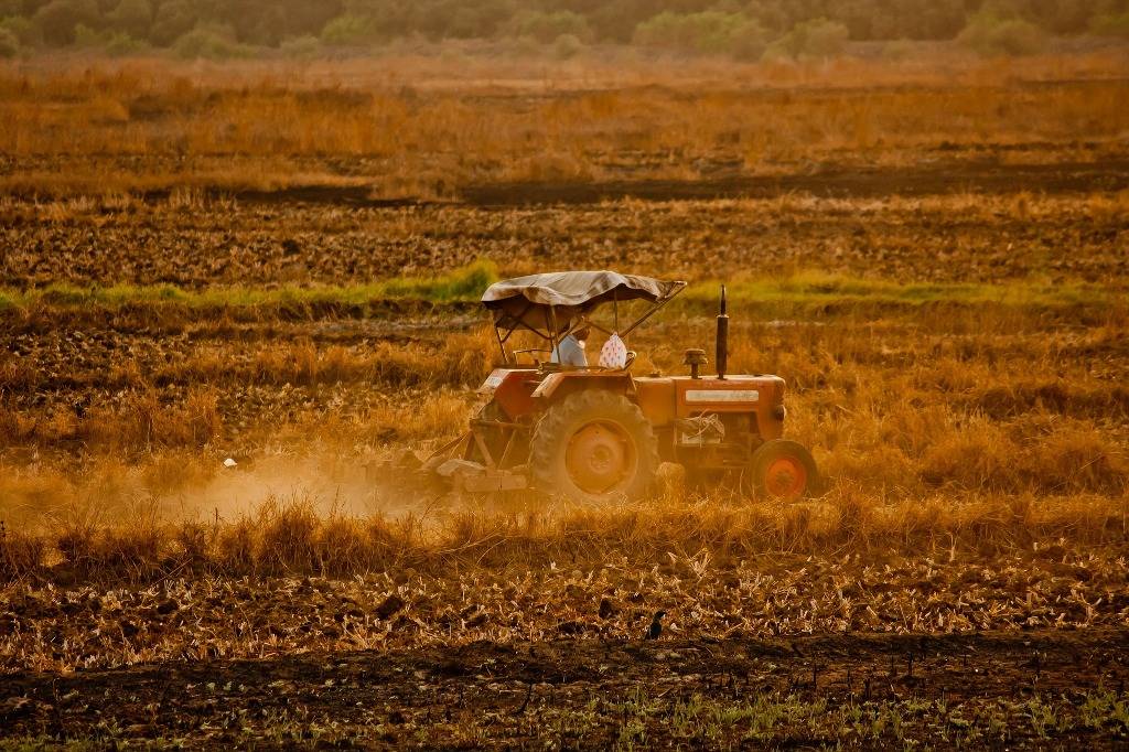 Agriculture