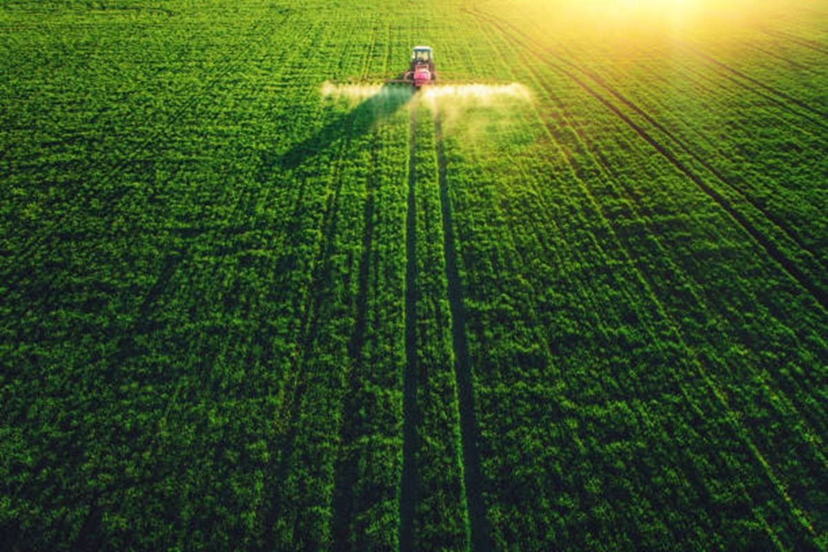 Robotics in the field of agriculture