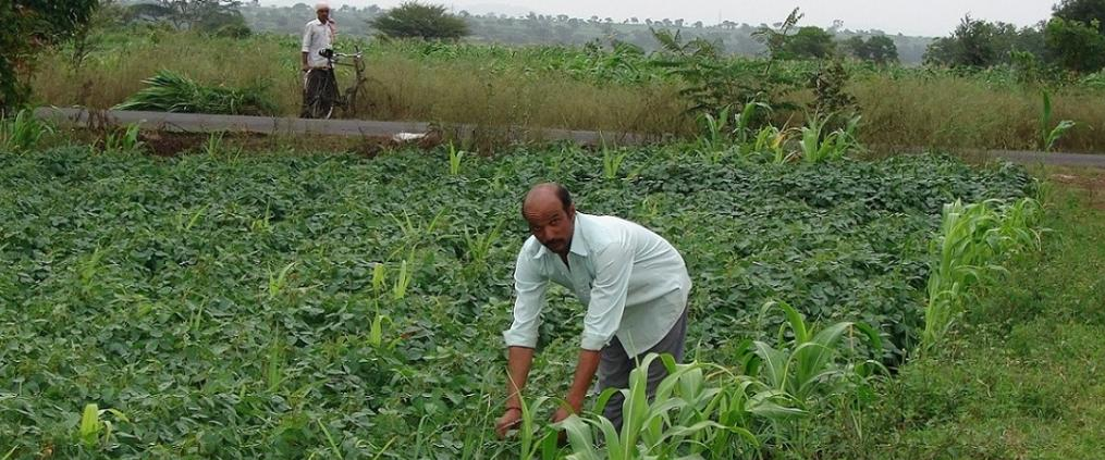 Farmer