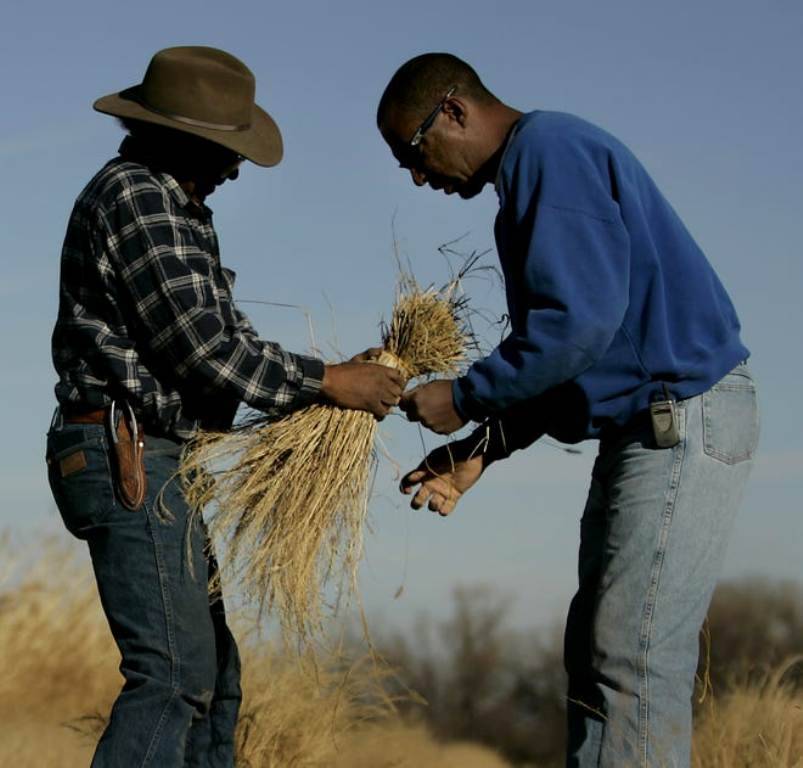 Black Farmers