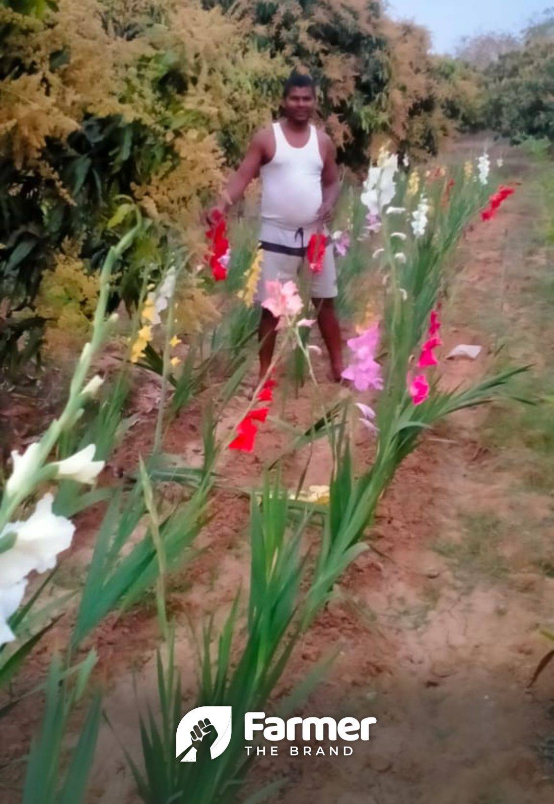 flowers in the field