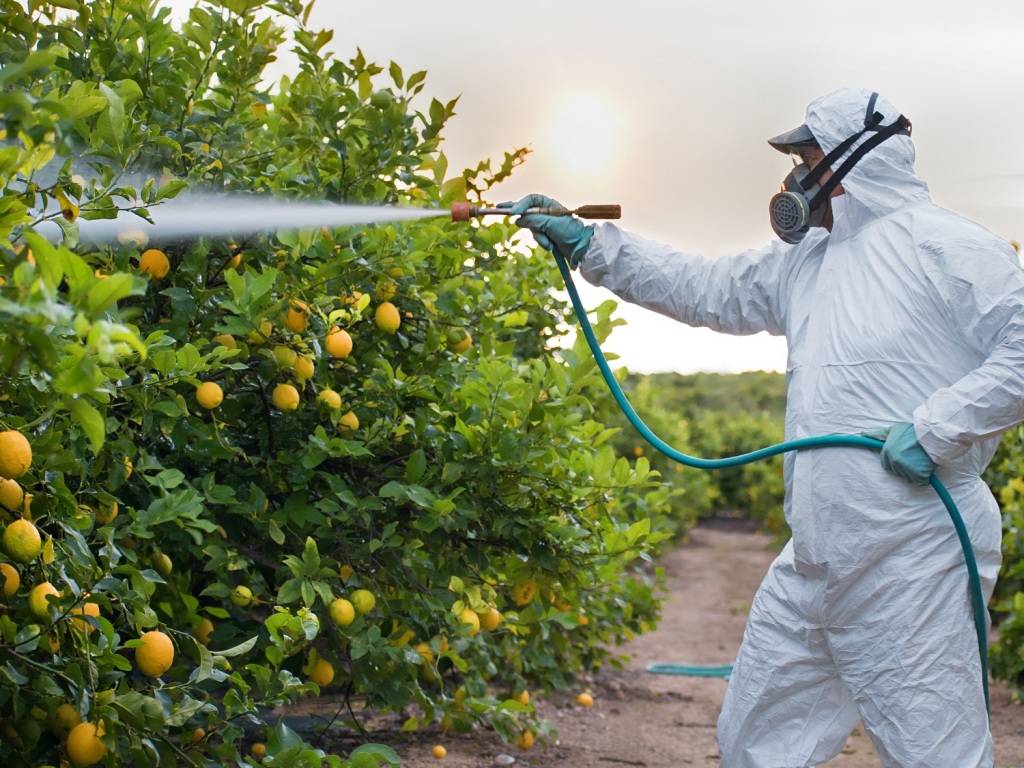 Pesticide