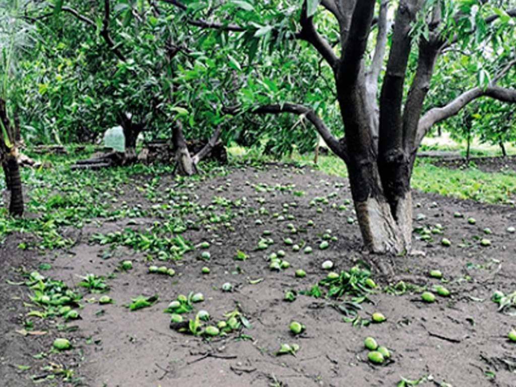 Cyclone Tauktae in Gujarat (Source Times of India)