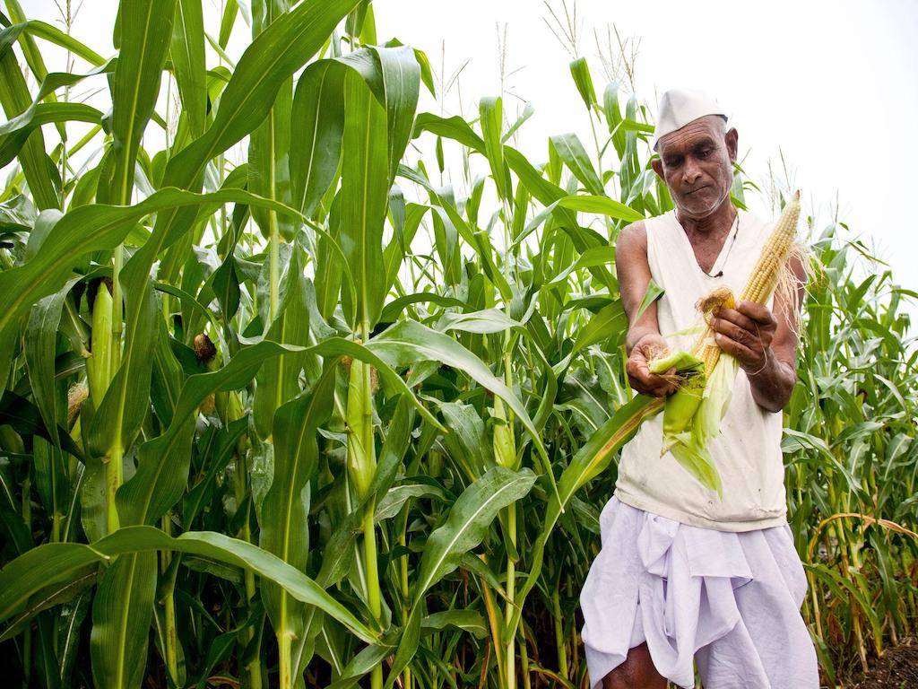 Farmer