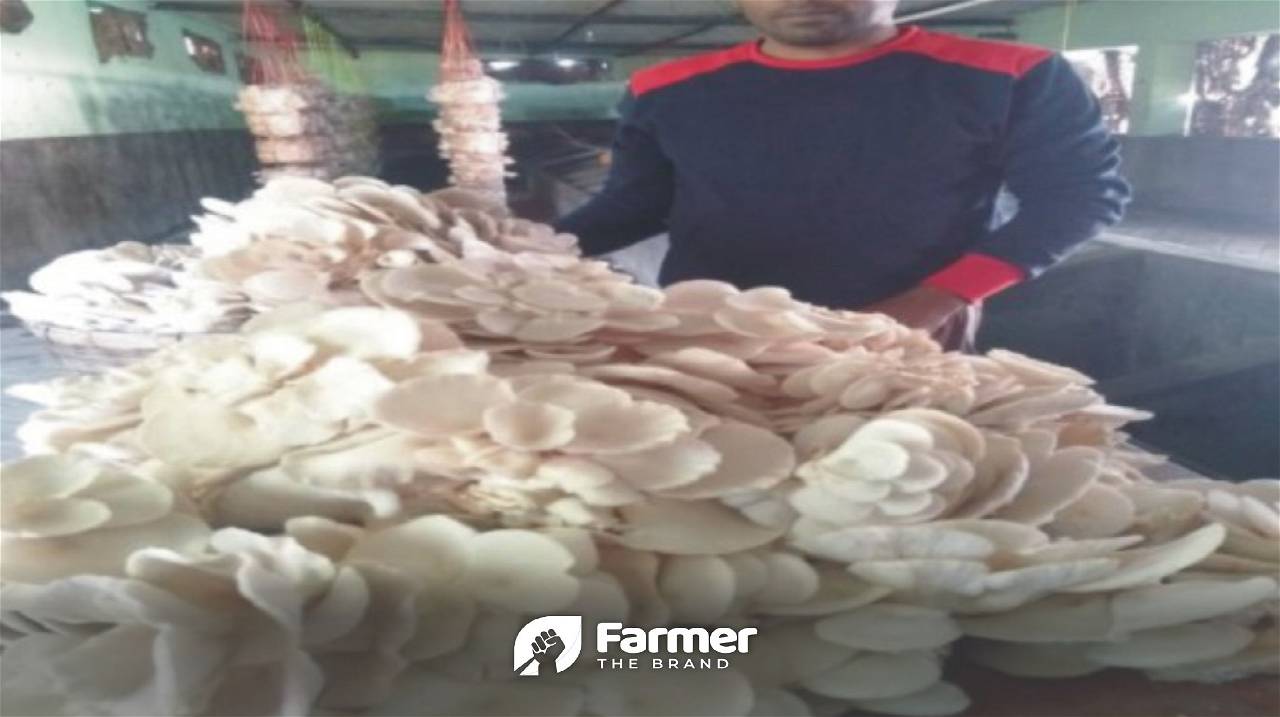 trained farmer with mushrooms