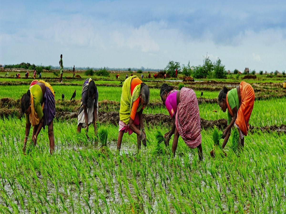 30 lakh farmers will receive crop loans worth Rs 20,810 crore in 2021-22