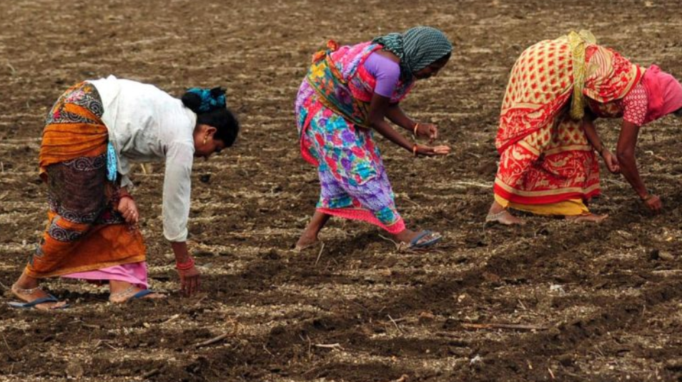 Farmers sowing seed