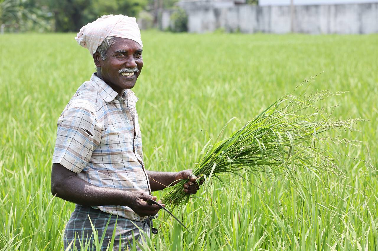 Get subsidy of Rs. 9000 per Acre for Kharif Crops