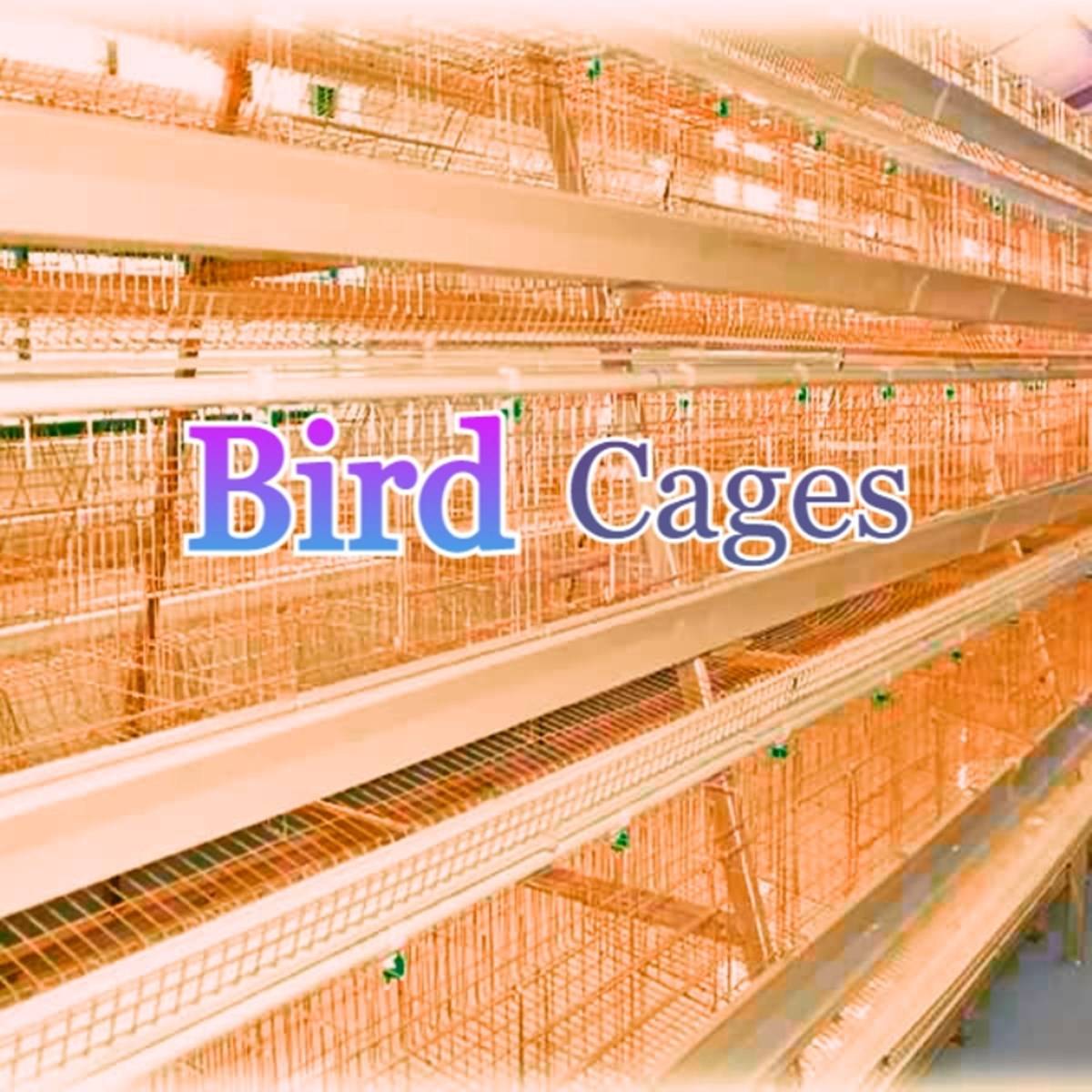 Chicken Bird cages