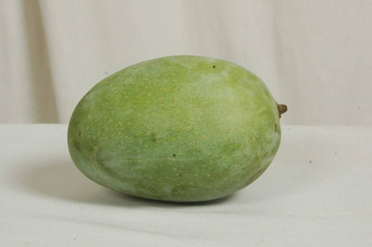 Langra mango
