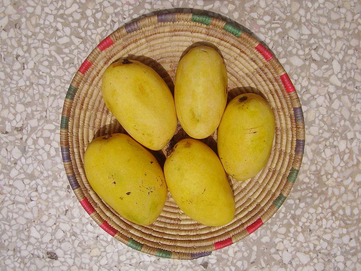 Chausa mangoe In The Basket