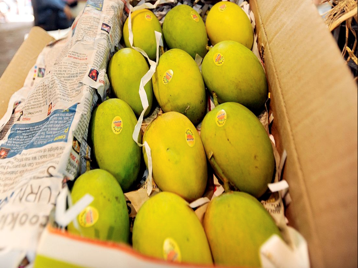 Himsagar mangoes