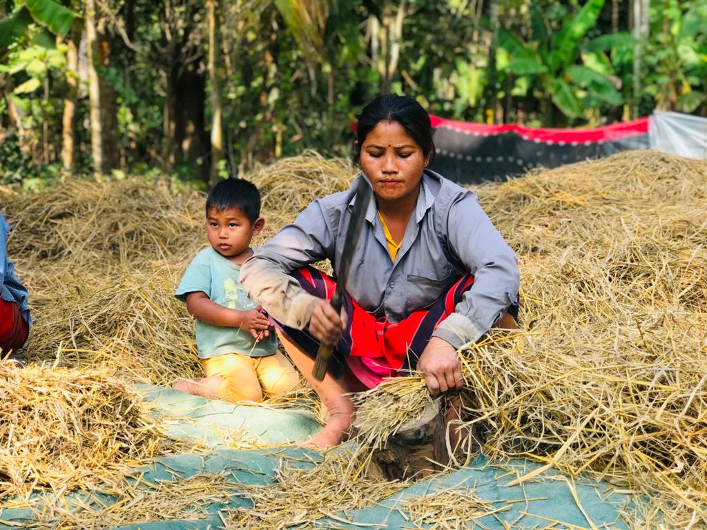 Rural Livelihood in Assam