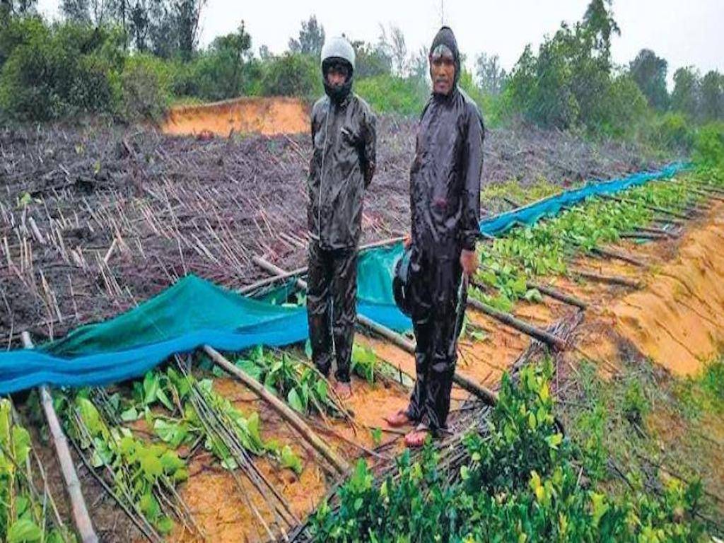 Cyclone Affected Farmers