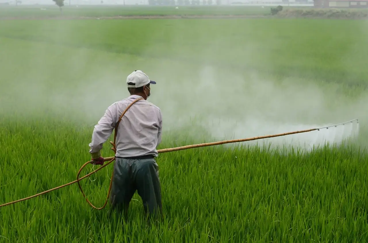 Spraying of pesticide in field