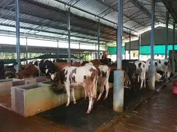 Odisha Government Announces Compensation Package for Dairy Farmers Affected By Lockdown