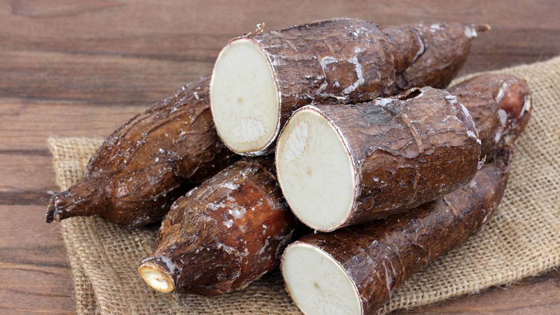 Cassava