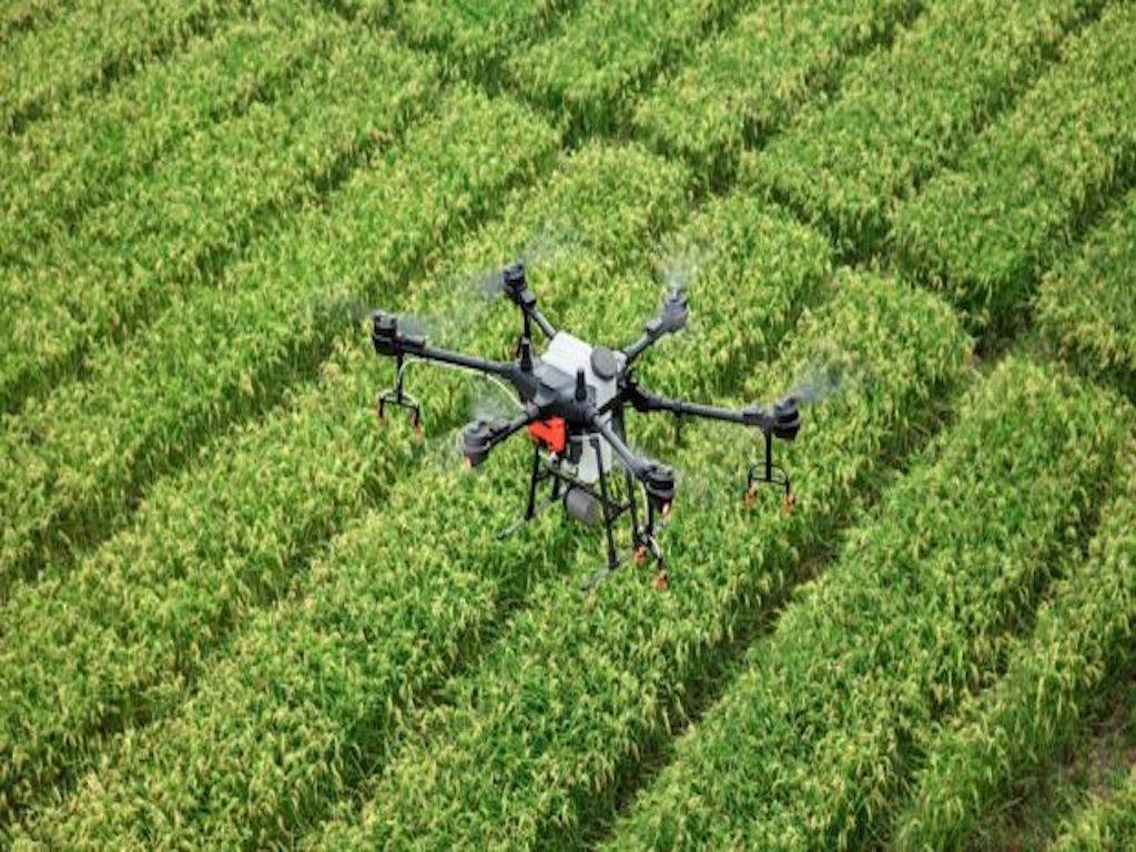 Drone Usage in Agriculture