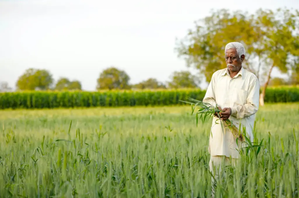 Will Agristack, the Unified Platform help Transform Agriculture in India?