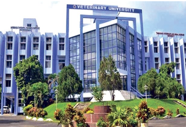 Tamil Nadu Veterinary and Animal Science University