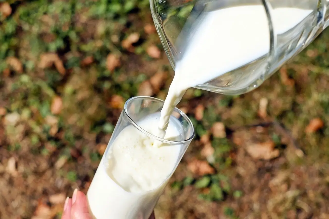 Fresh milk poured in a glass
