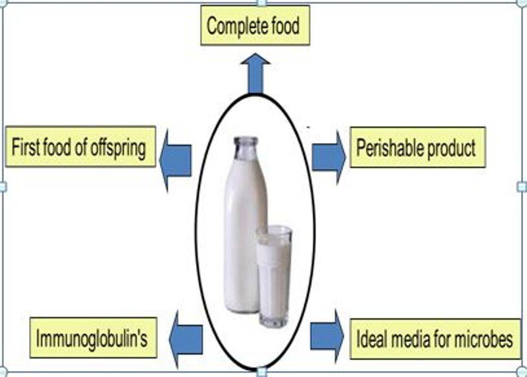 Milk infographic