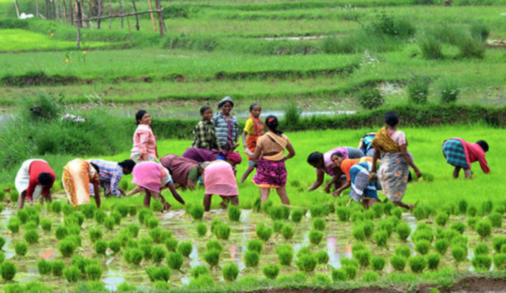 Farmer