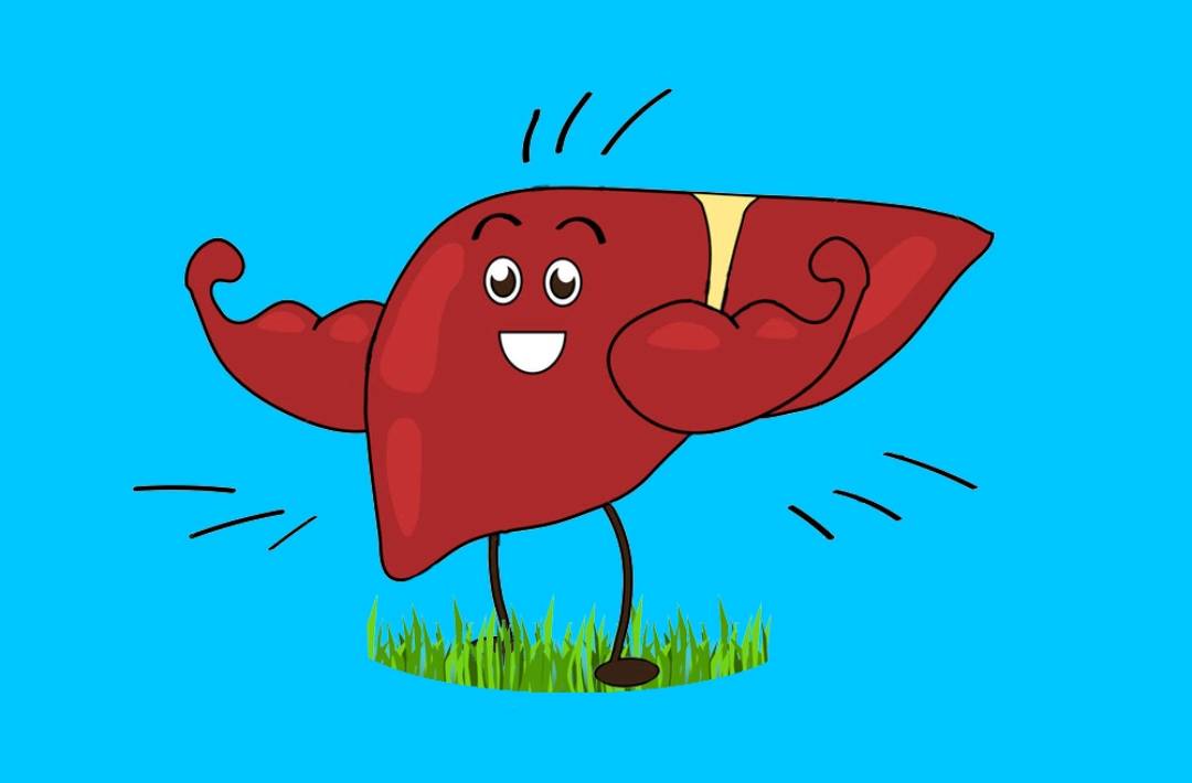 Healthy and happy liver