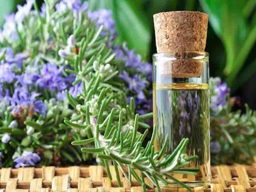 Lavender Oil