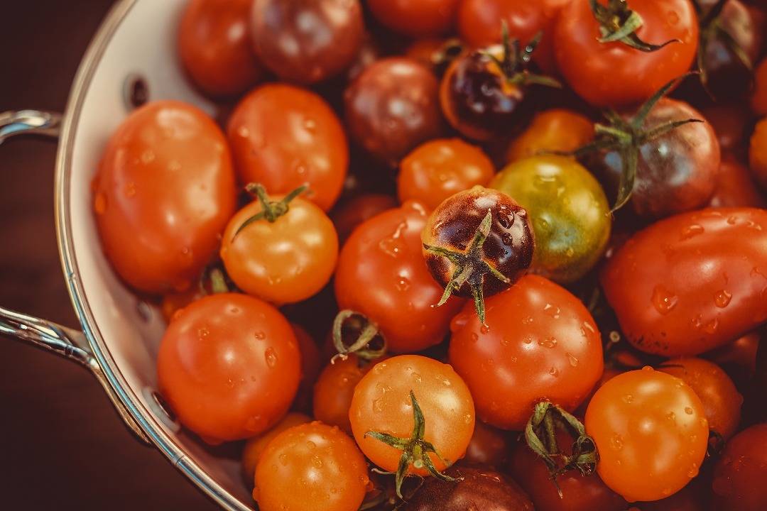 Tomatoes and their color variations