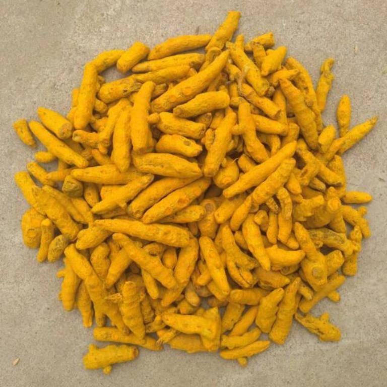 Erode Turmeric