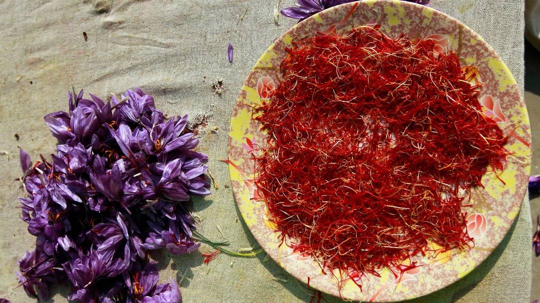 Kashmir Saffron