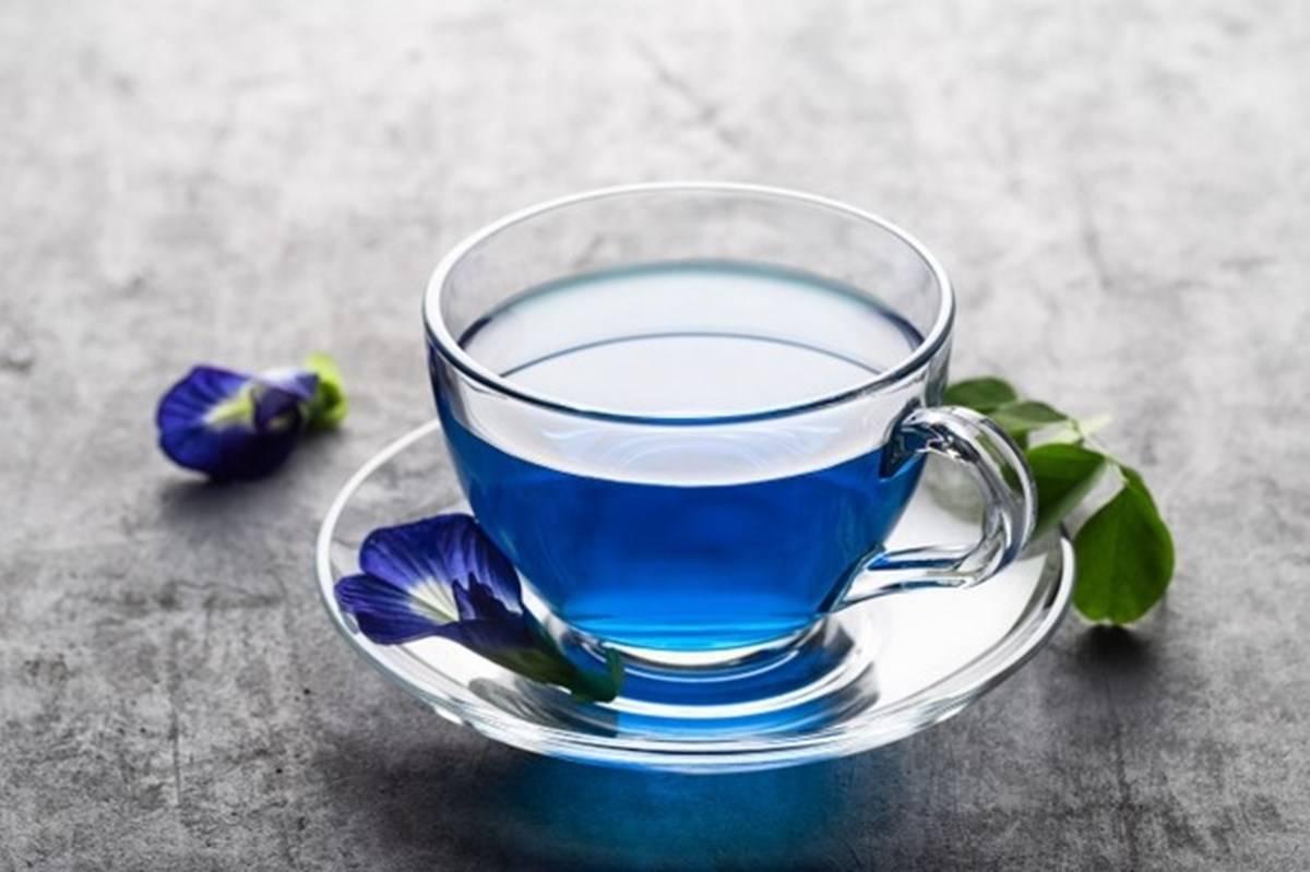 Magical Indigo-Blue hot tea to refresh your mind
