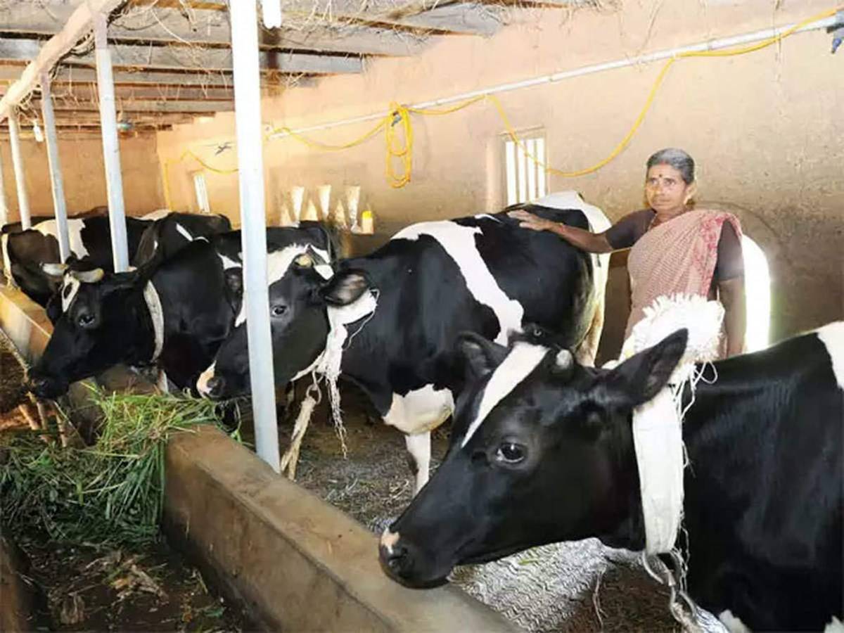 Cabinet Committee on Economic Affairs Clears Realignment of Department of Animal  Husbandry and Dairying Schemes