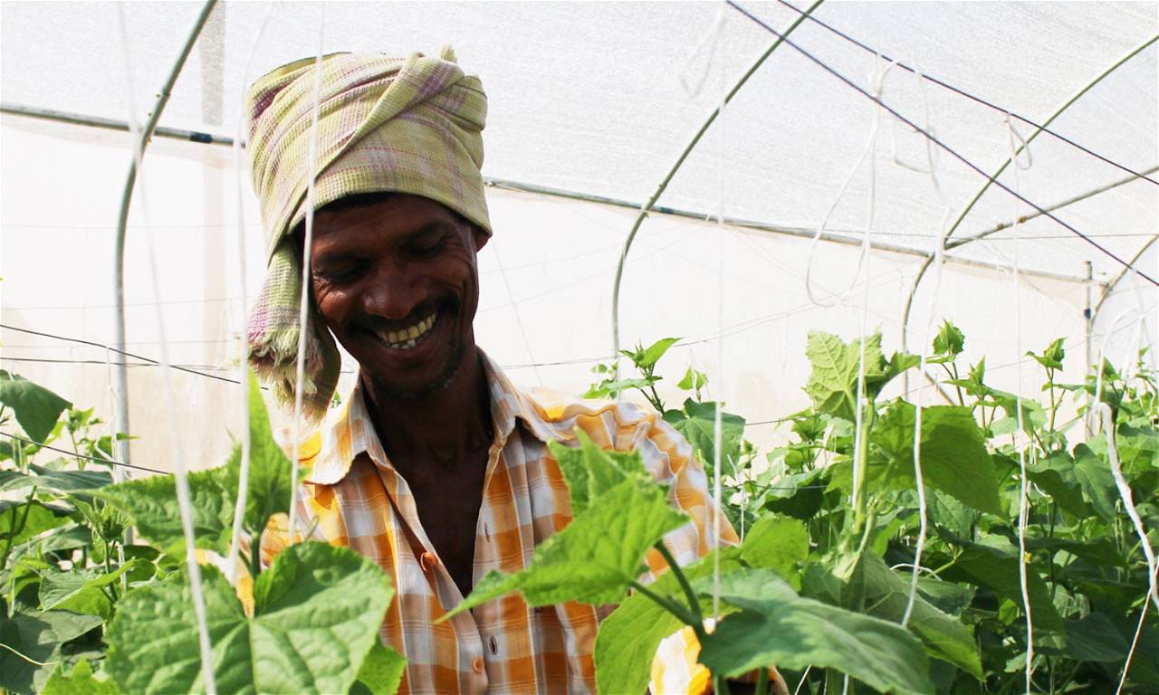 Smallholders can now avail loans through Samunnati to purchase Kheyti's Micro Greenhouses.