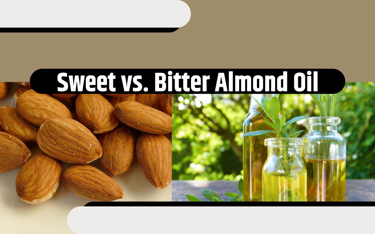 Difference Between Sweet And Bitter Almond Oil Which One To Use