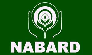 NABARD - Grade A Phase 1  Exam previous year questions set-2