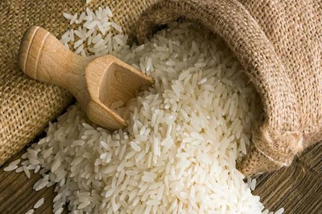 India's Rice Exports will continue to dominate the global rice market
