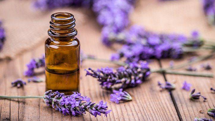 Magical Health Benefits of Lavender