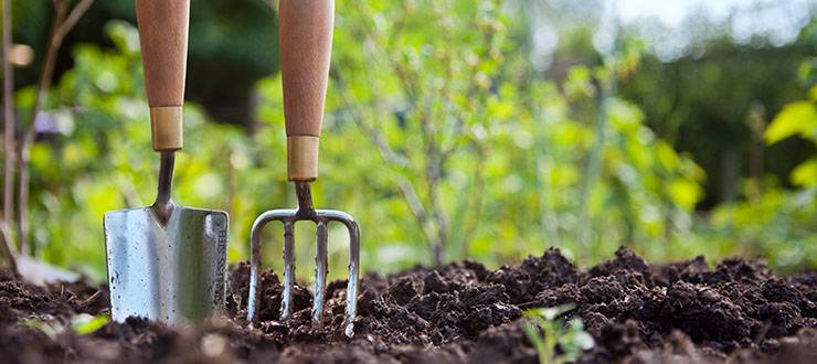 make gardening easier with these essential tools