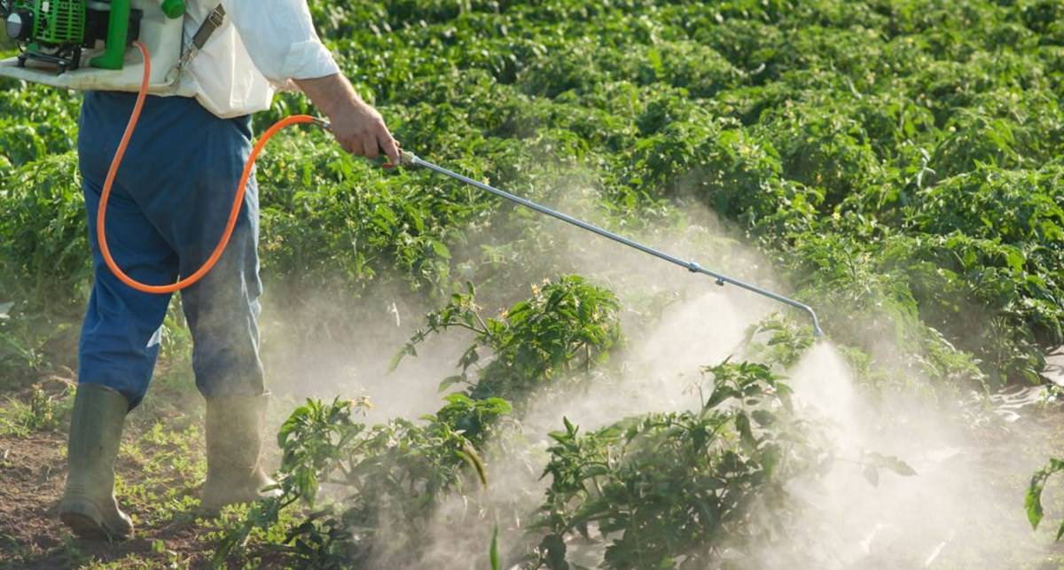 Pesticide spraying on crop