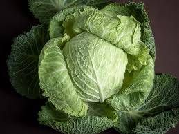 Maturity Period of Cabbage is 90-120 days