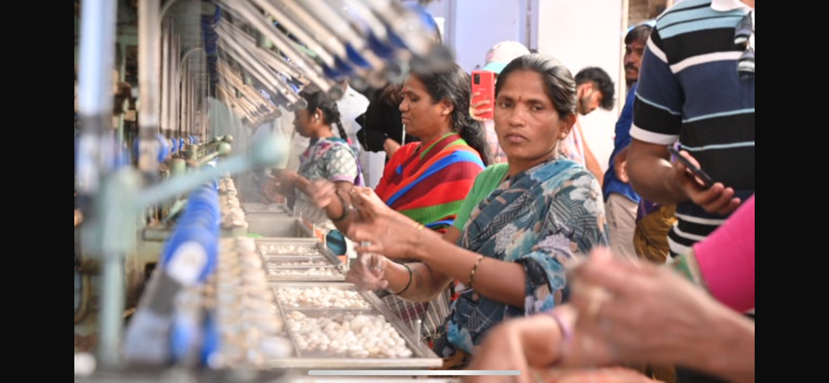 Women processing cocoon harvested from farms