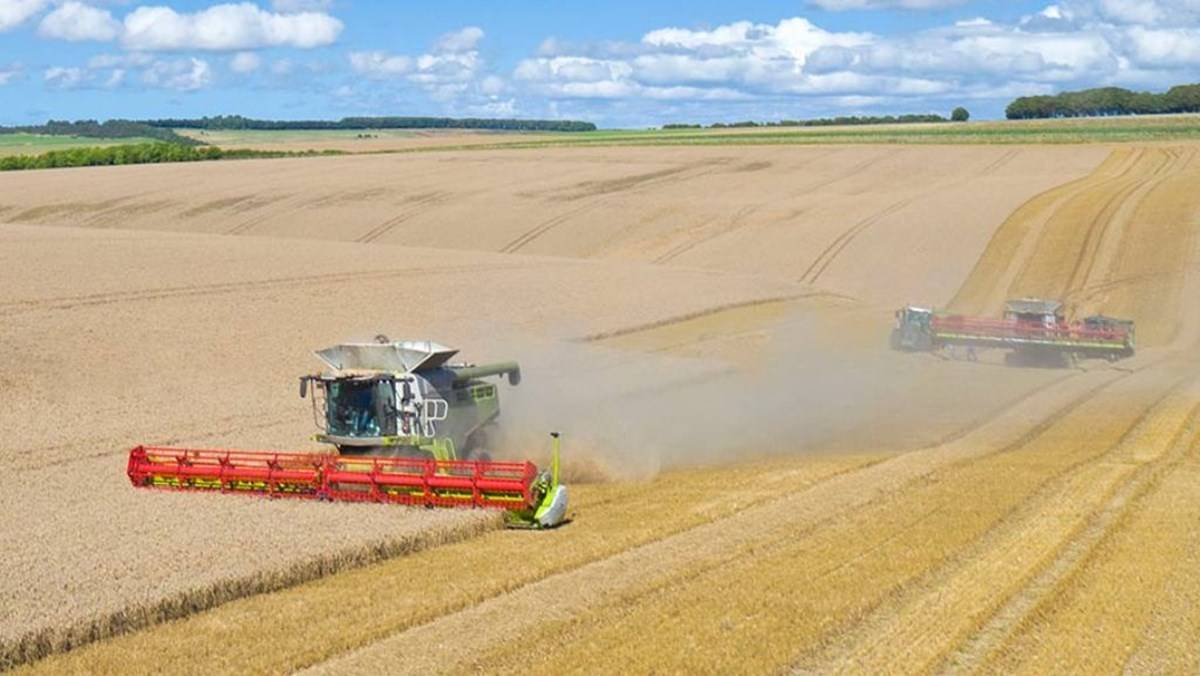 ARABLE CROPS