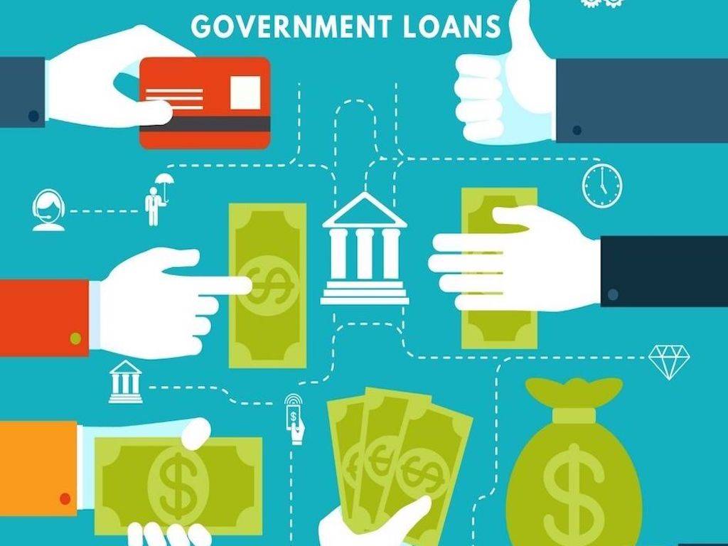 Government Loans