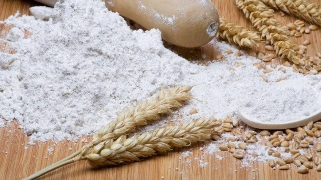 Wheat grains and flour